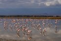 120 Amboseli Nationaal Park